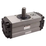 Smc NCDRA1BS50-100 Rotary Actuator, 145PSI, 9/16IN Shaft, 1/8IN Nptf. Fixed Price $175.00.